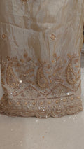 Champagne Gold Shimmer Fabric with Paisley Hand-Worked Border